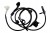 cf9bd626a2fc087e7040dc89c255c5da.jpg