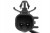 8bed62c0f995c02d4ff094a04dbd39be.jpg