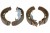 fe1c179af80dd06b08167864d6aba9ba.jpg