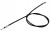 d298daafa60dda2515f79c1487c30556.jpg