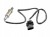 aa35010e95587645b4e36dc6bd501595.jpg