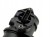 a527dee22fa3c64359fbecd07d7811e5.jpg