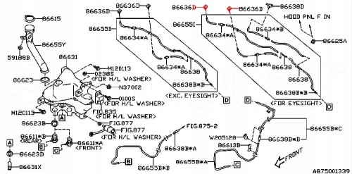 097c5d08e689826339a51edabc62de0e.jpg