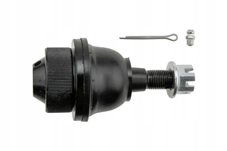 2d495a6a265096a15360cafcfa52e9f2.jpg