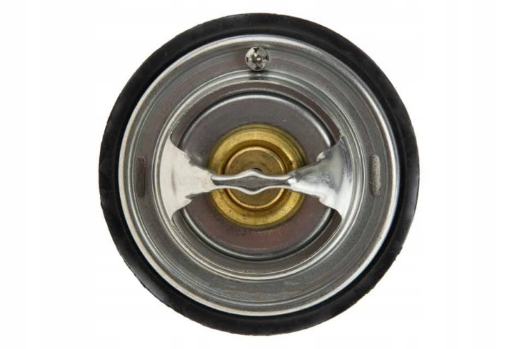 1e9a5ba415dea3d7cec1cae4f86accaa.jpg