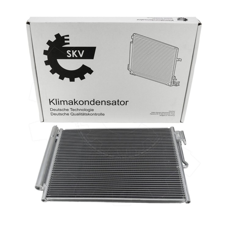 86SKV133-1.jpg
