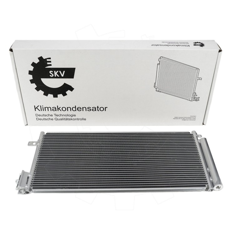 86SKV029-1.jpg
