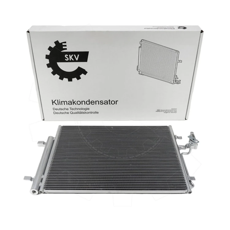 86SKV021-1.jpg