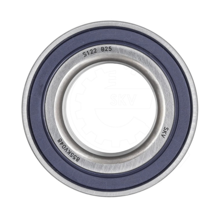 85SKV048-3.jpg