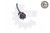 a8e23be0a3a58de4b3735de6f898a6c8.jpg