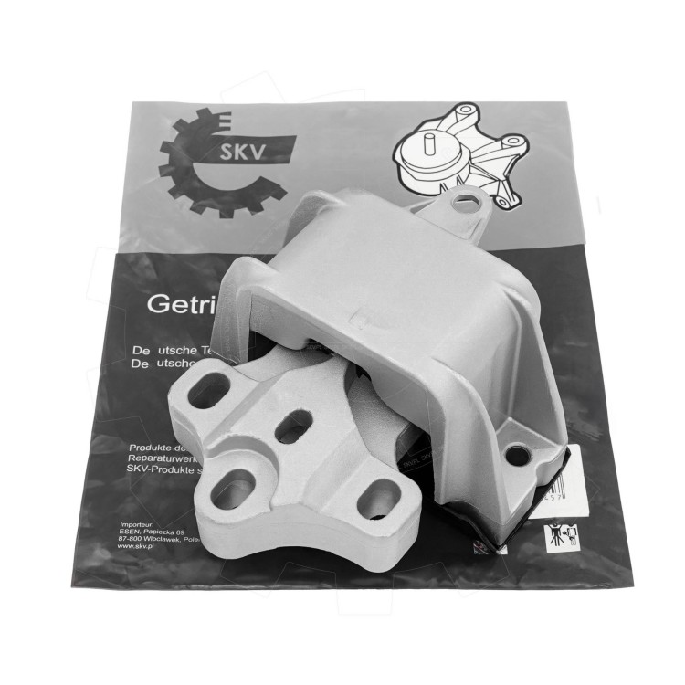75SKV829-1.jpg