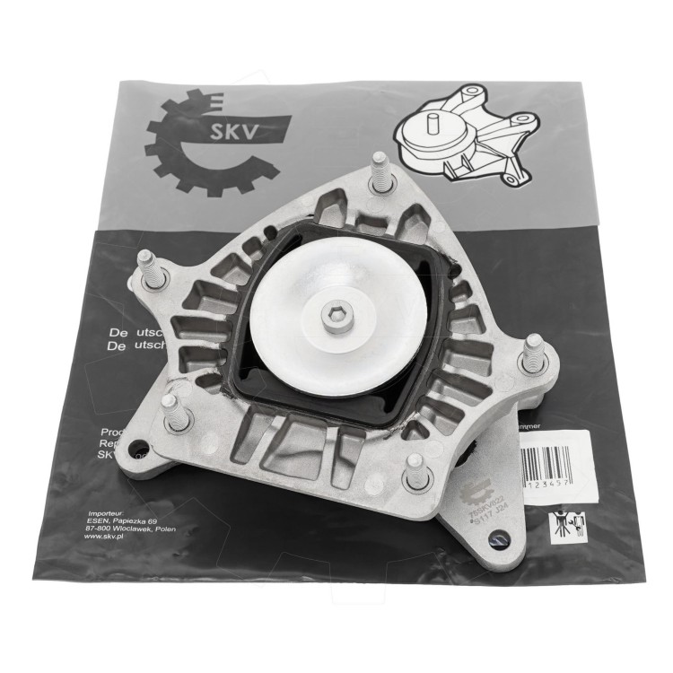 75SKV822-1.jpg