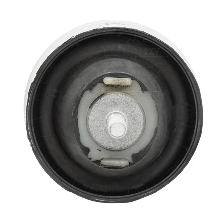 75SKV295-5.jpg