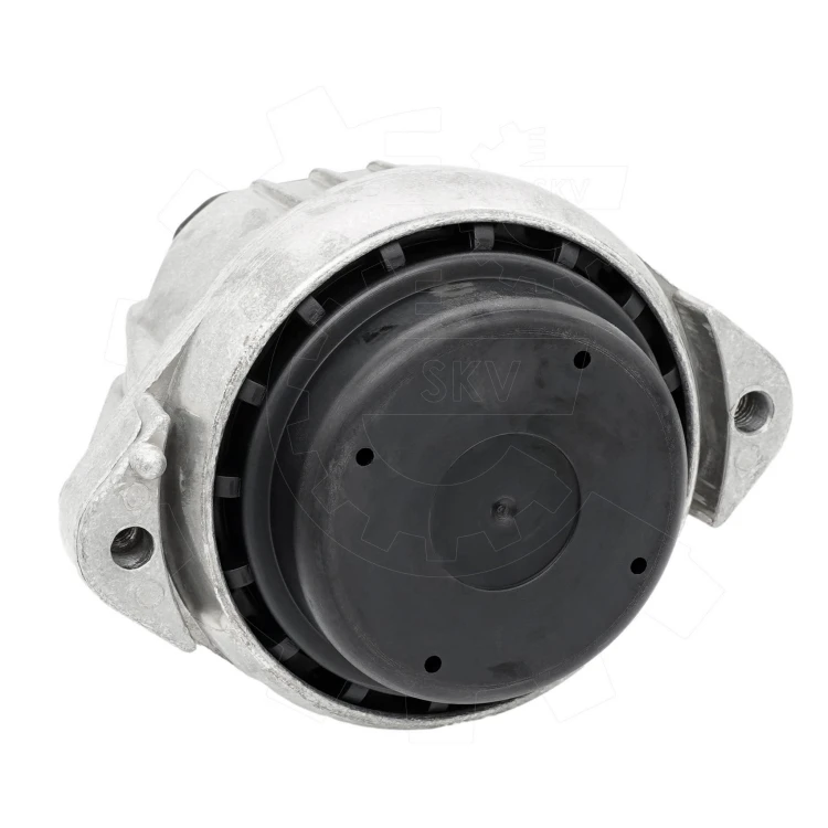 75SKV290-5.jpg