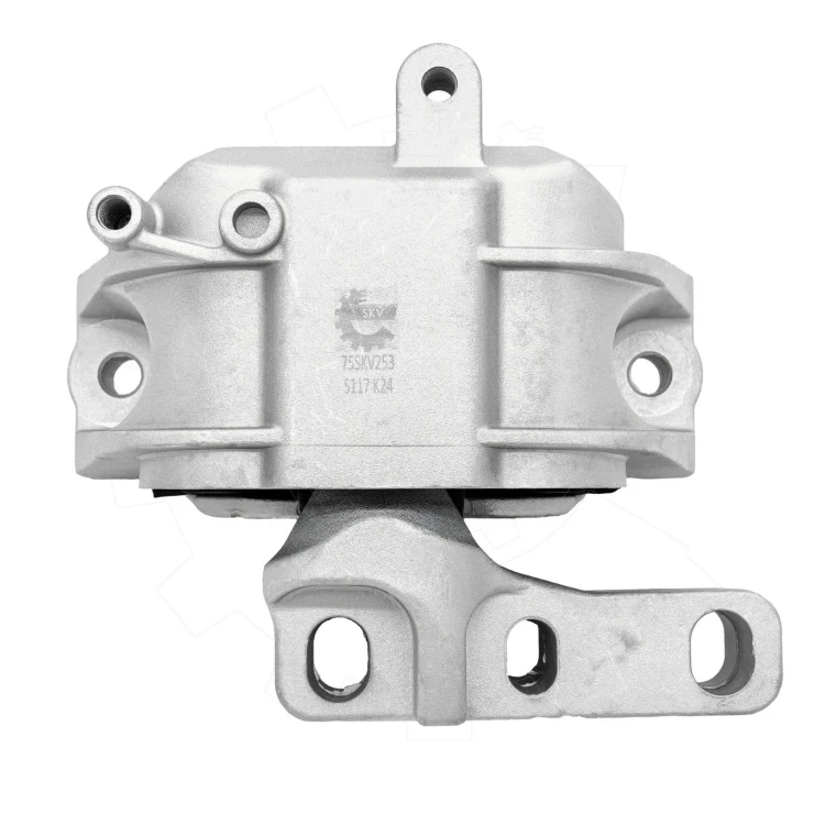 75SKV253-3.jpg