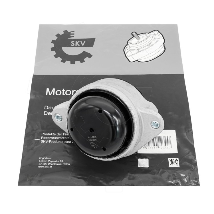 75SKV203-1.jpg