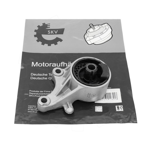 75SKV199-1.jpg
