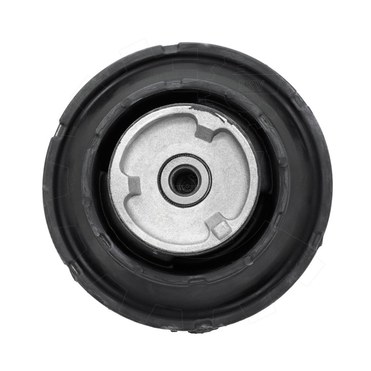 75SKV155-4.jpg