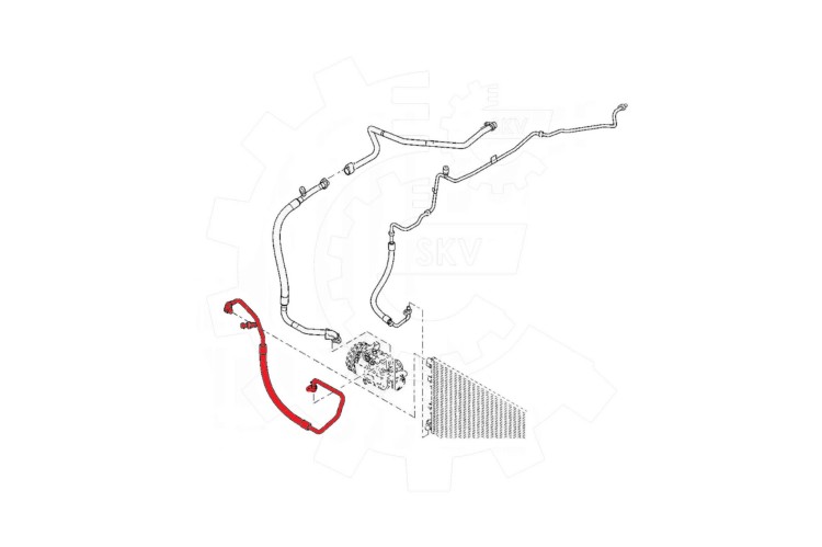 06.jpg