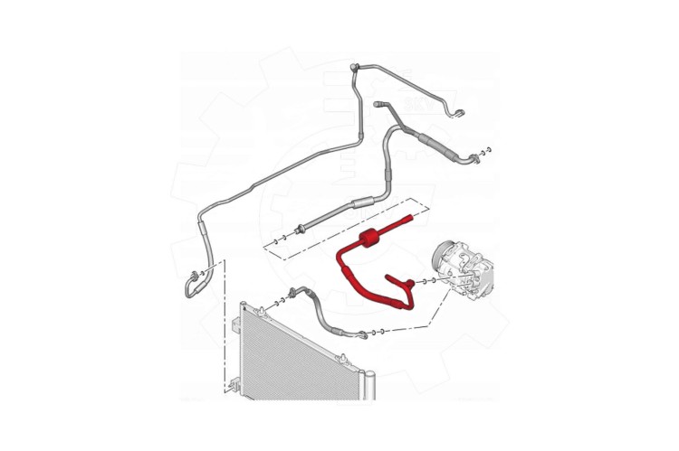 05.jpg