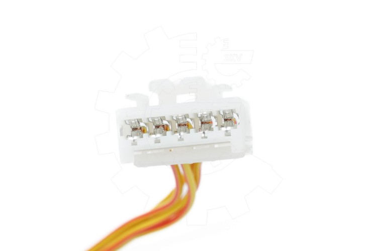 03.jpg