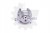a1ed340b2937dbdf9ba04ec5f5b354b2.jpg