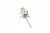 a18ff67abd03d1dd199b1623d1c806cd.jpg
