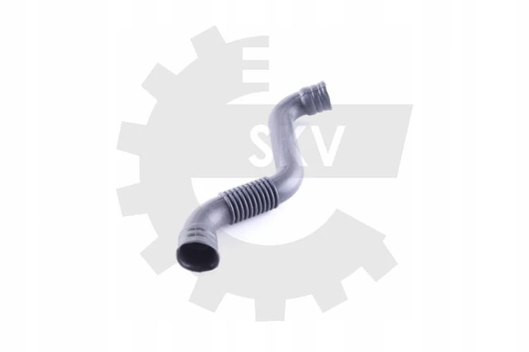 a2e91215bb932c640786be455db747bf.jpg