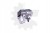 dfba807a2a1cabea2fe797ac757e9729.jpg