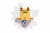 6e770d589d2b6ebd81da1a9dad0fd38d.jpg