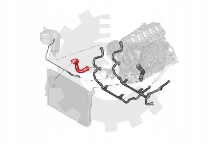 3d079fe63e53dd71ede672a1aae006ec.jpg