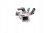 f1de567ded9e0efc32ac2770a88790ab.jpg