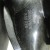 f70023eb8ced47a6ebadd9968abbe9b1.jpg