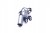 d288de8ce8d14691a21d735d995b567b.jpg