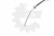 c6bb0be992274988e379a462f5cd76f9.jpg