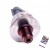 a9da12acf05f3e50db00ada505b765b0.jpg
