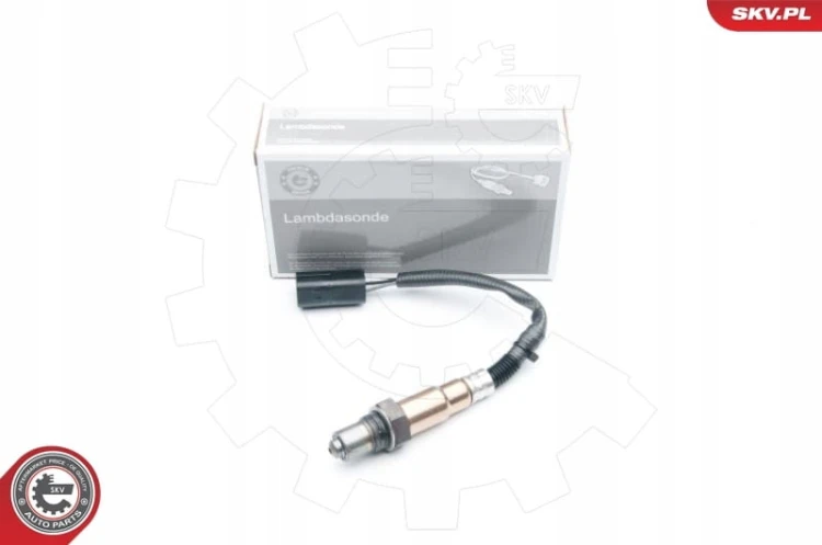 e186dd53ea240992ebc040a80e62e538.jpg