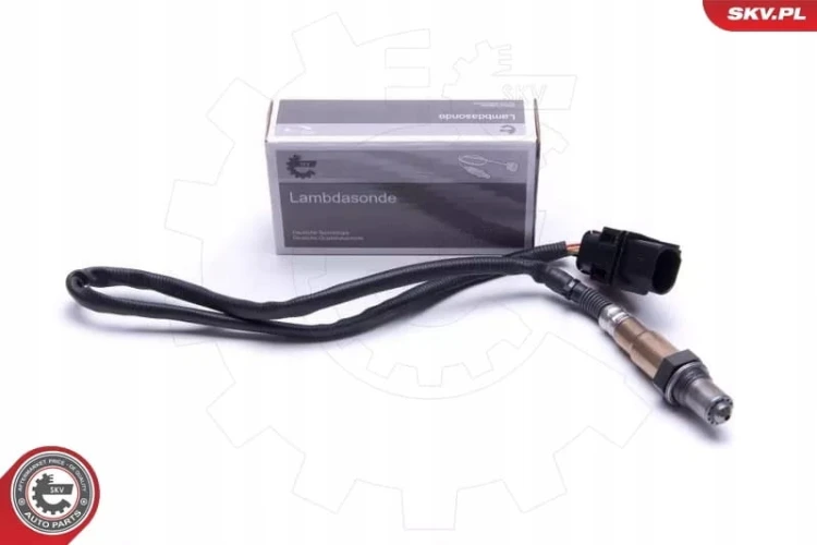 7098f150208984e8db485be757392661.jpg