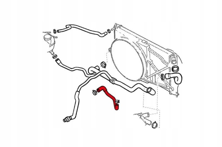 fd5f56dce19b04592bbcd7490b71eab7.jpg