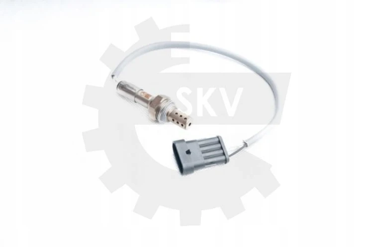 35280edc15e1b26fdbc88da541374f13.jpg