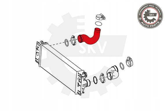 cf47afecdc69e9b172f80dbc9985568f.jpg