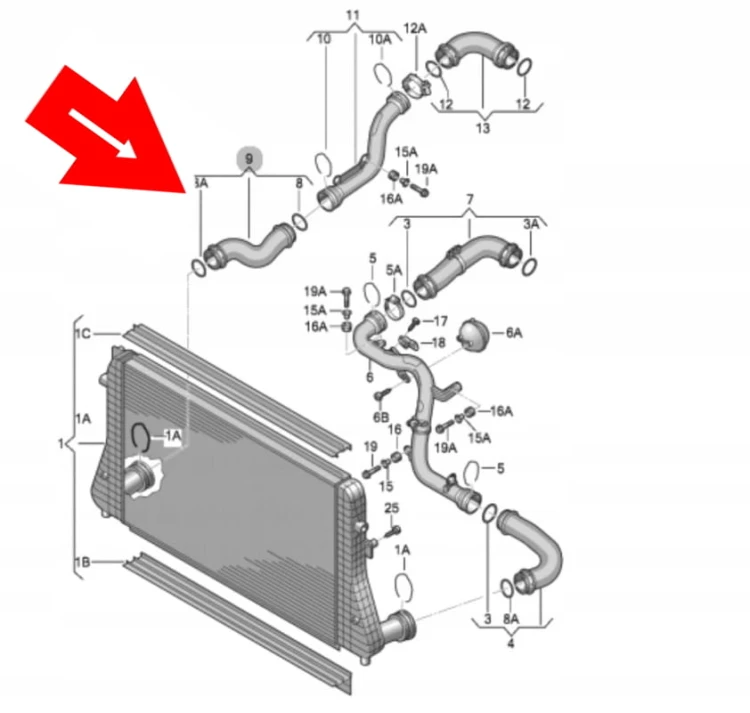 b183e2df1325ef1e592518045dfdd1bf.jpg
