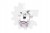 87adc9223b4bc24732d9367e39238ff1.jpg