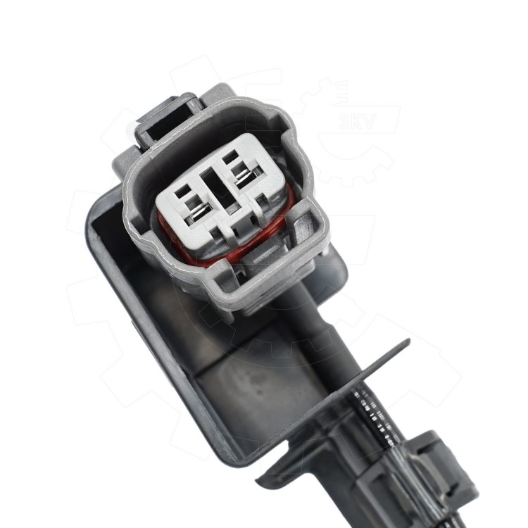 06SKV562-3.jpg