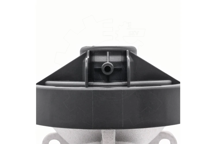 09.jpg