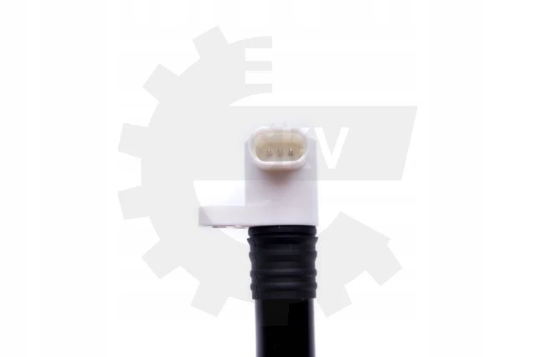 fcec9c41418642ad69cbce3245d421cd.jpg