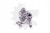1e9dadd45a9ee5428e9c27bff59d9b7f.jpg