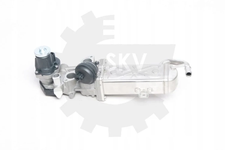 002ae840c1f29dd979c332417192576f.jpg