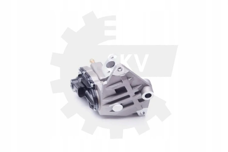76afb6ae8a69731cbe0641240ab401ea.jpg
