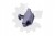 d0f08516426fbfac7685f0147e0dbaa3.jpg